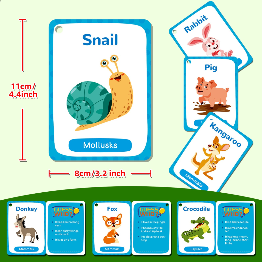Animal Cognition Flashcards – Volume2