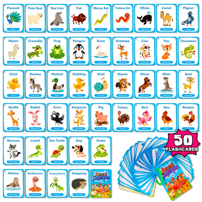 Animal Cognition Flashcards – Volume2