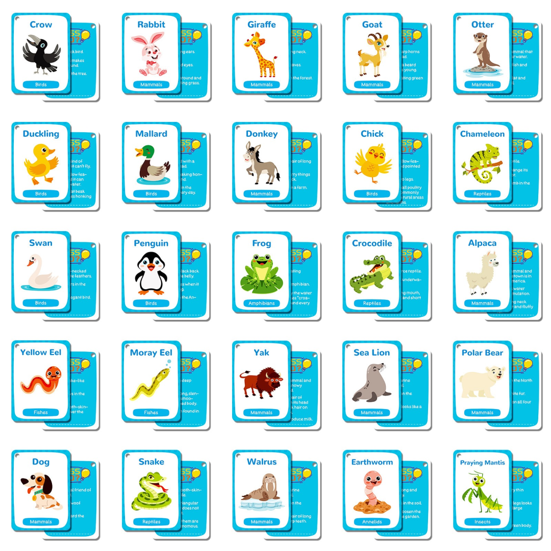 Animal Cognition Flashcards – Volume2
