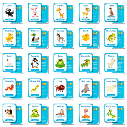Animal Cognition Flashcards – Volume2