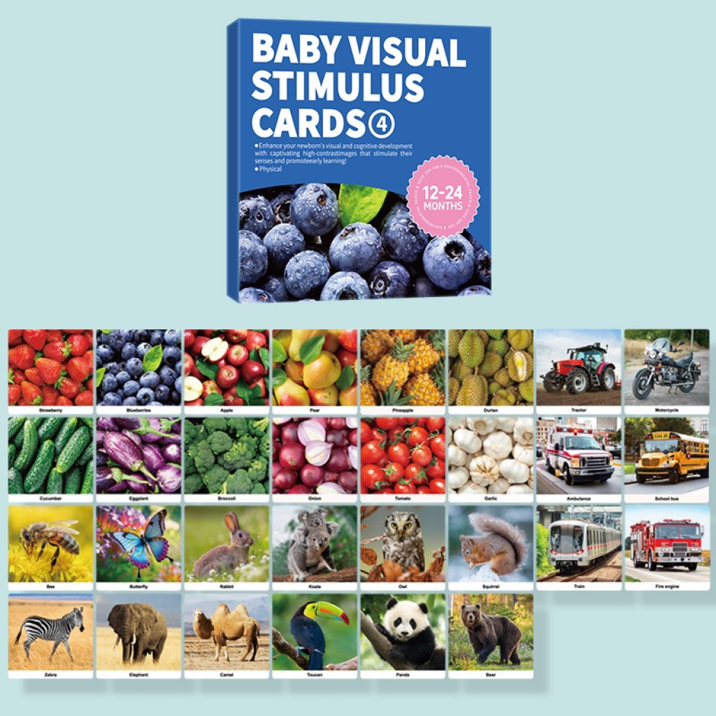 Baby Visual Stimulus Cards 12-24 months
