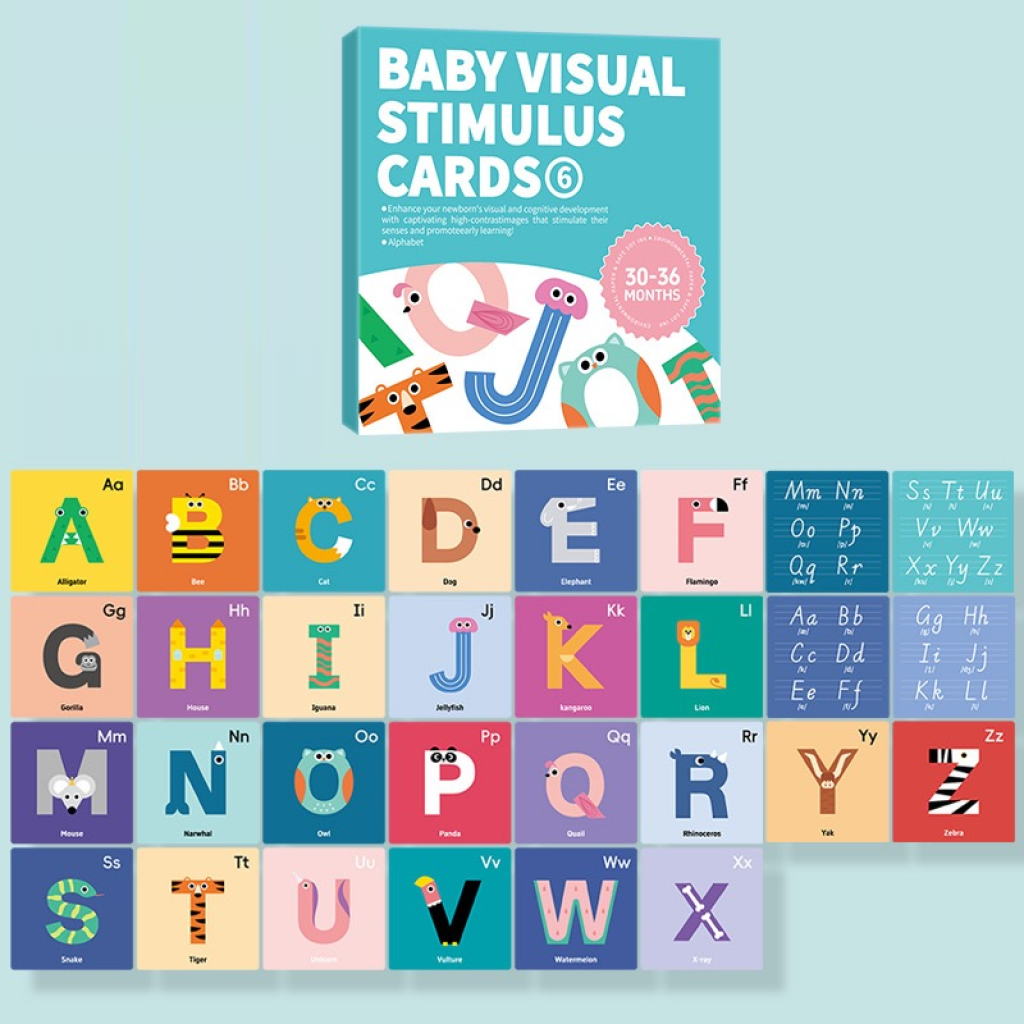 Baby Visual Stimulus Cards 30-36 months