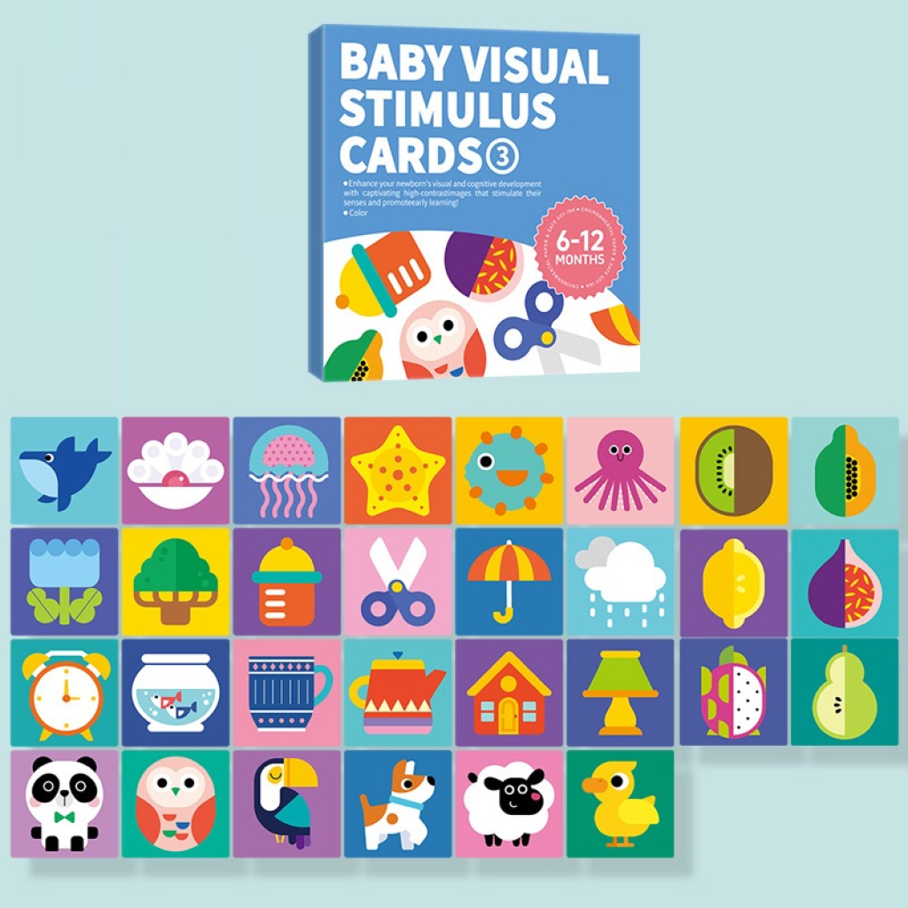 Baby Visual Stimulus Cards 6-12 months