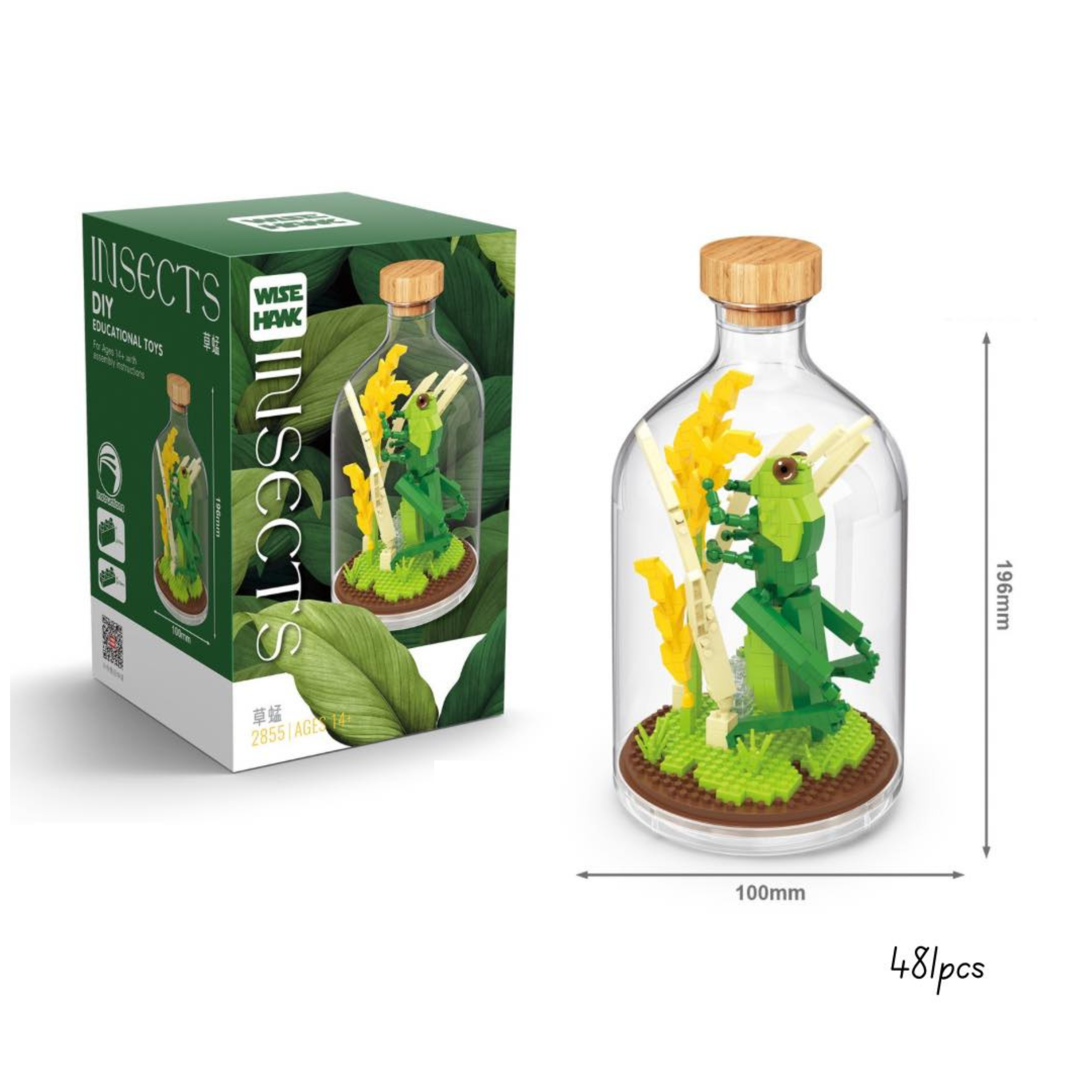 Building Blocks Mantis 481pcs – Boardgames and Puzzles