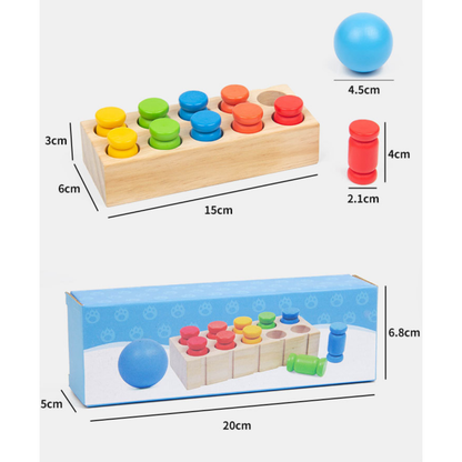Color Matching Peg & Slot Game