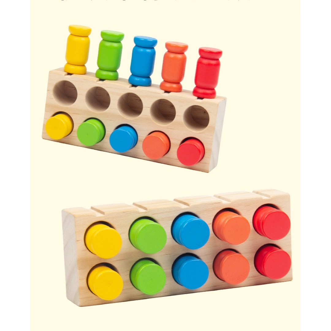 Color Matching Peg & Slot Game