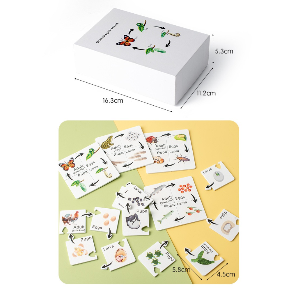 Growth cycle puzzle