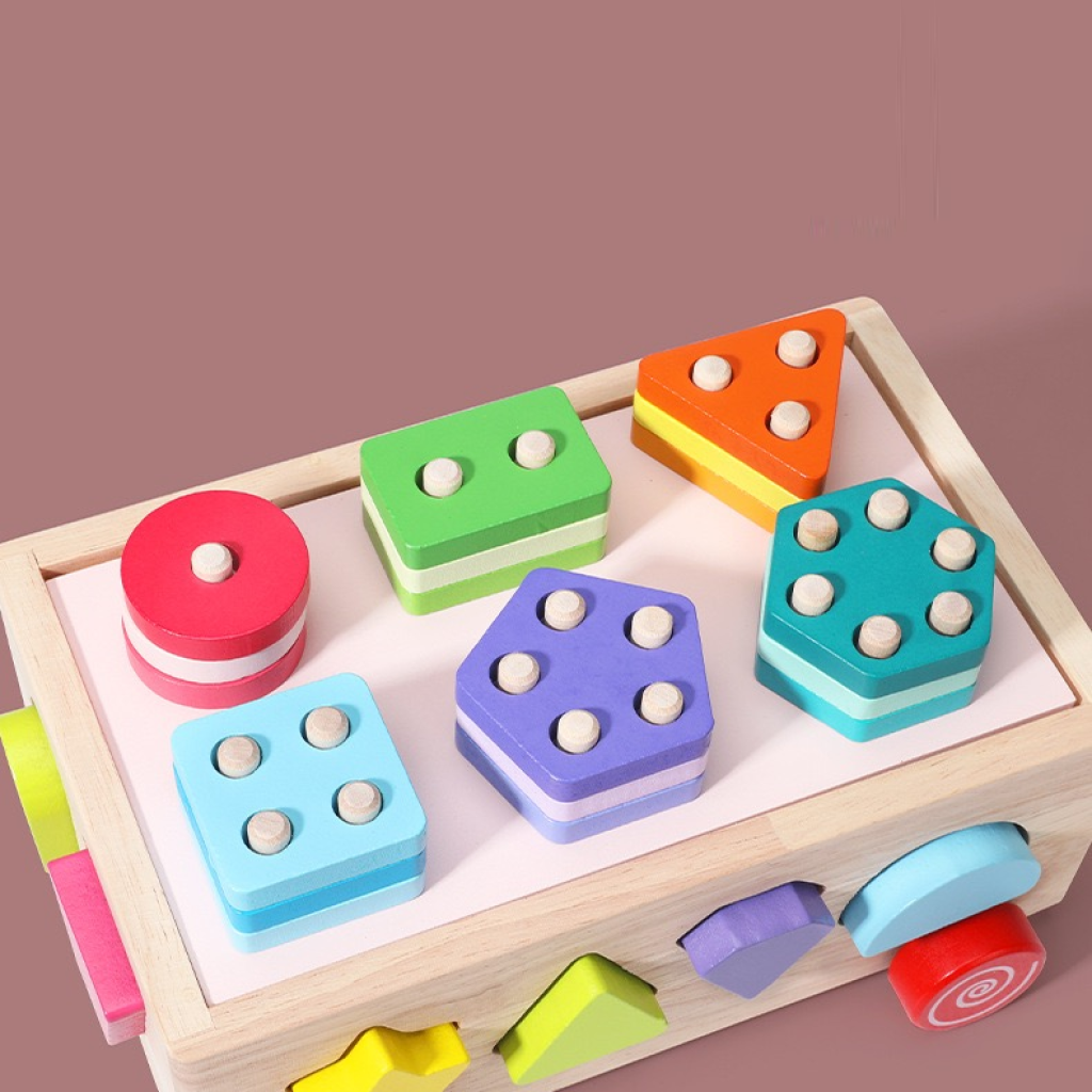 Montessori Wooden Shape Sorter