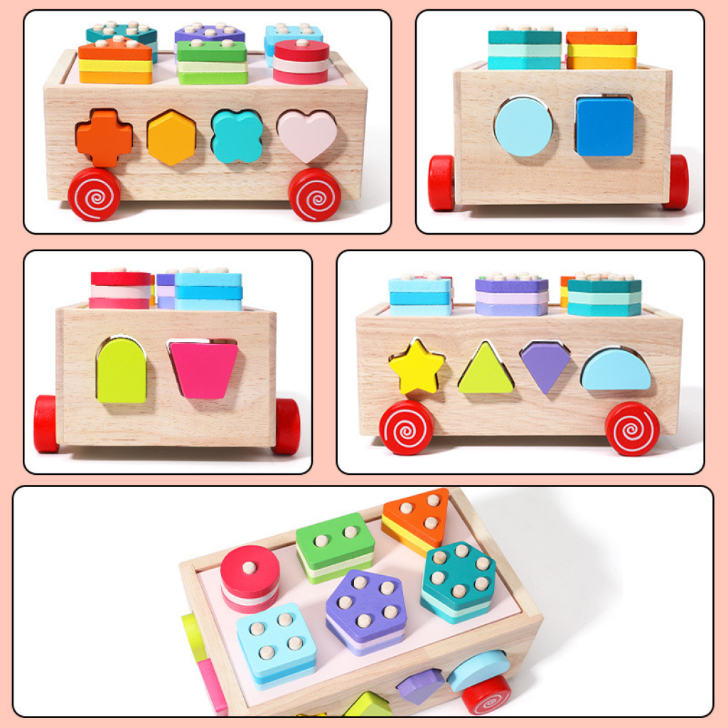 Montessori Wooden Shape Sorter