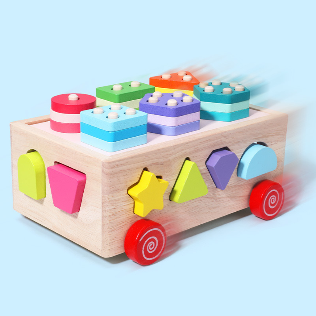 Montessori Wooden Shape Sorter