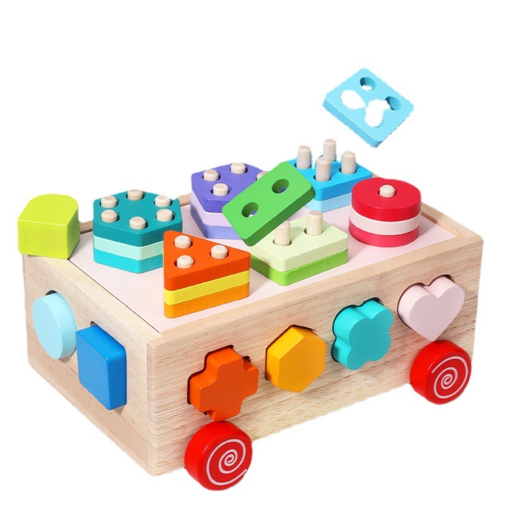 Montessori Wooden Shape Sorter