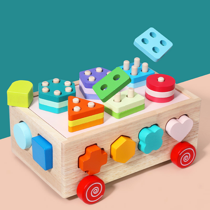 Montessori Wooden Shape Sorter