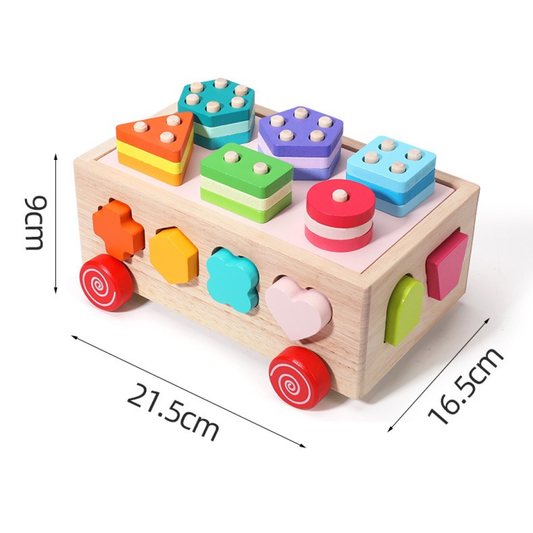 Montessori Wooden Shape Sorter