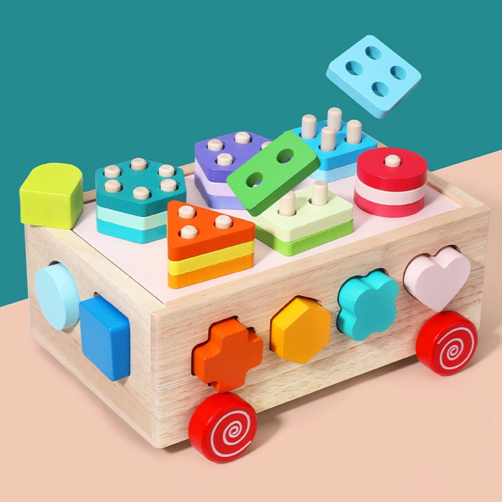 Montessori Wooden Shape Sorter