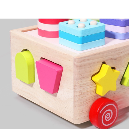 Montessori Wooden Shape Sorter